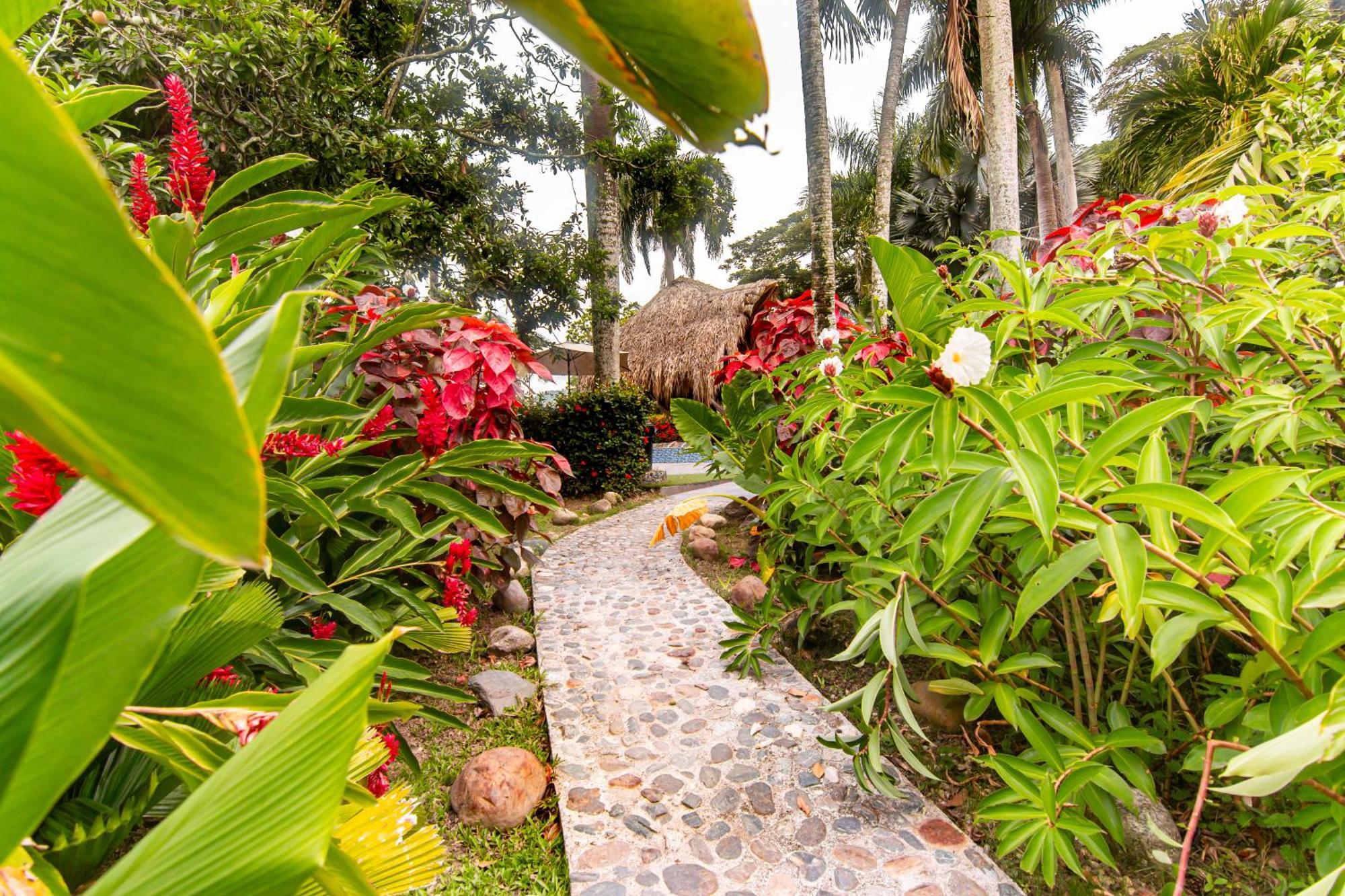 Portales Del Tayrona Garden Hotel Calabazo  Ngoại thất bức ảnh